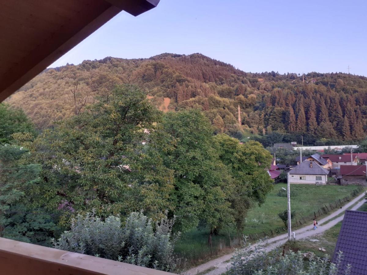 Hotel Casa Mara Vişeu de Sus Esterno foto