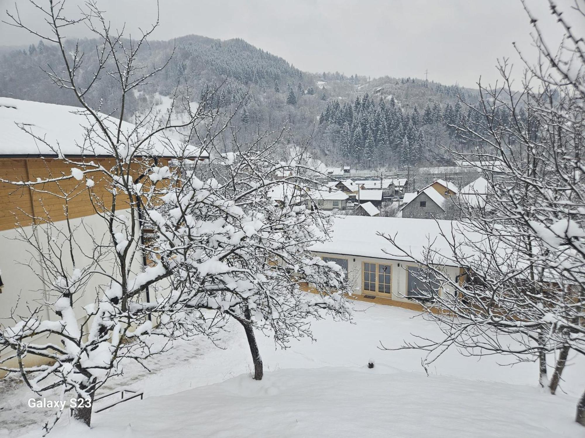 Hotel Casa Mara Vişeu de Sus Esterno foto