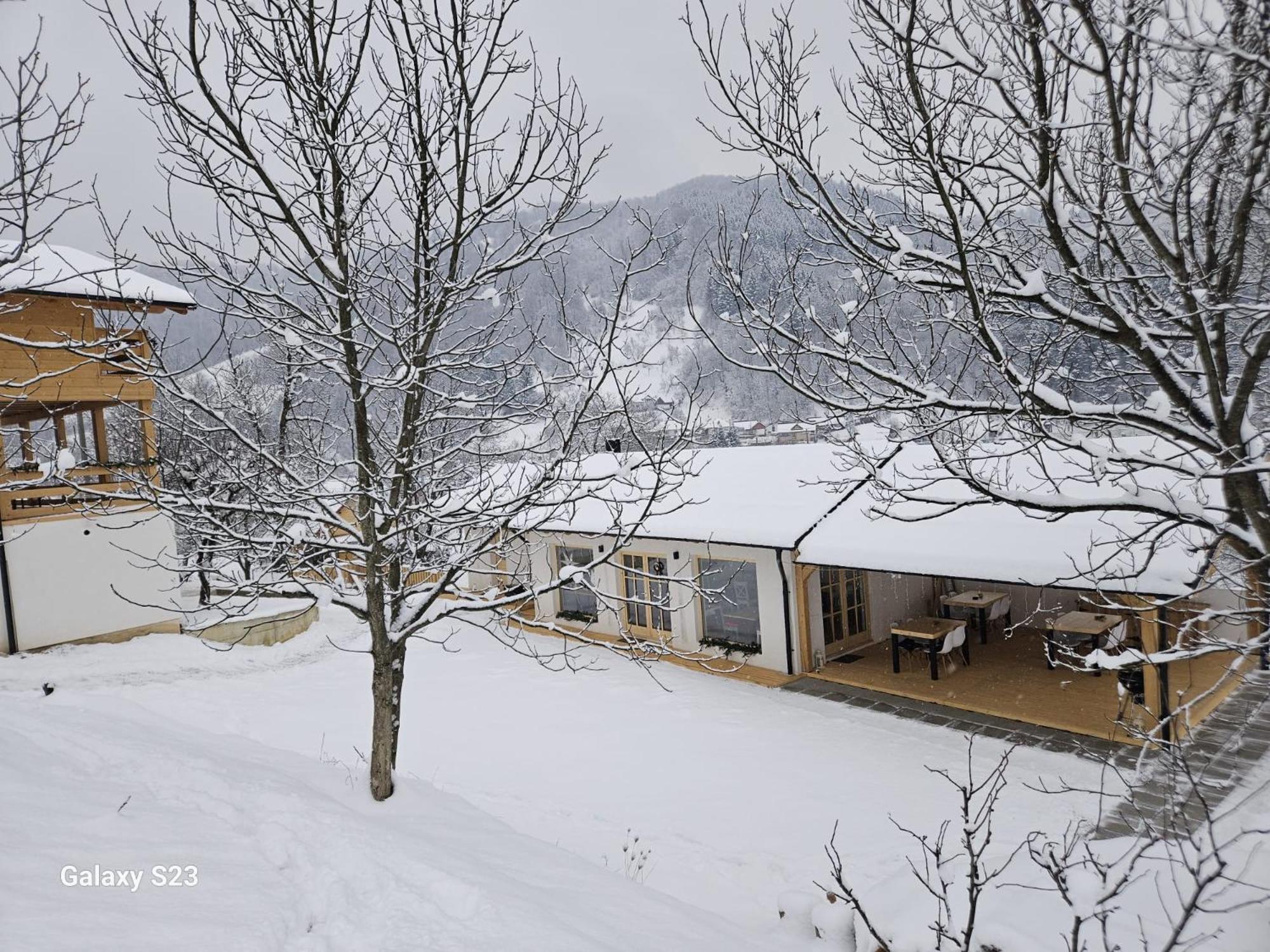 Hotel Casa Mara Vişeu de Sus Esterno foto